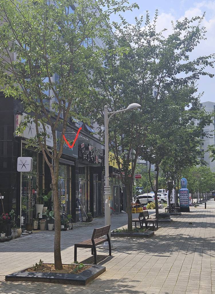 대구 동구 대림동 상가 월세 부동산 매물 보림프라자