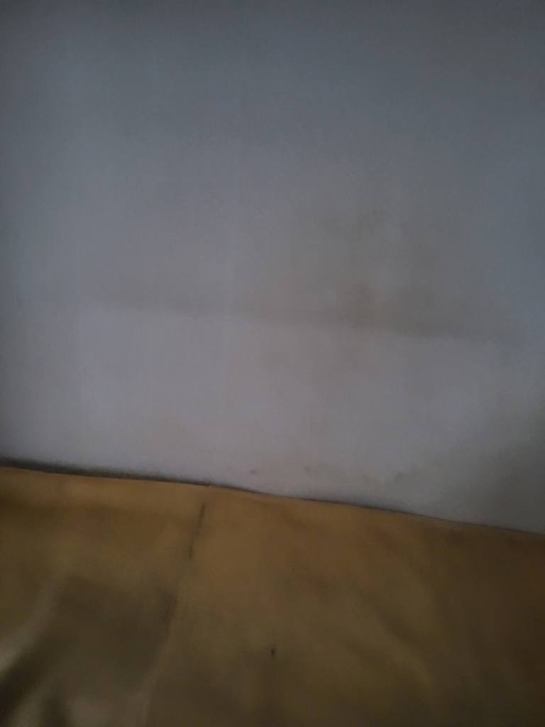 대구 서구 평리동 상가 월세 부동산 매물 평리동 상가