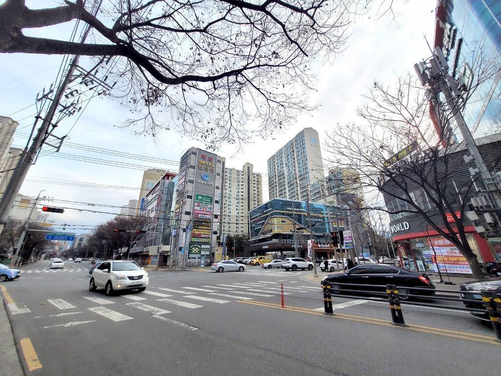 대구 달서구 월성동 상가 월세 부동산 매물 월성동